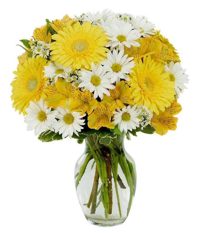 Yellow Daisy Bouqet - Floramor 