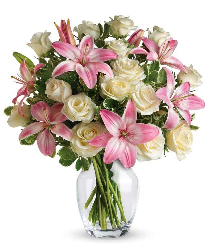 White Elegance - Floramor 
