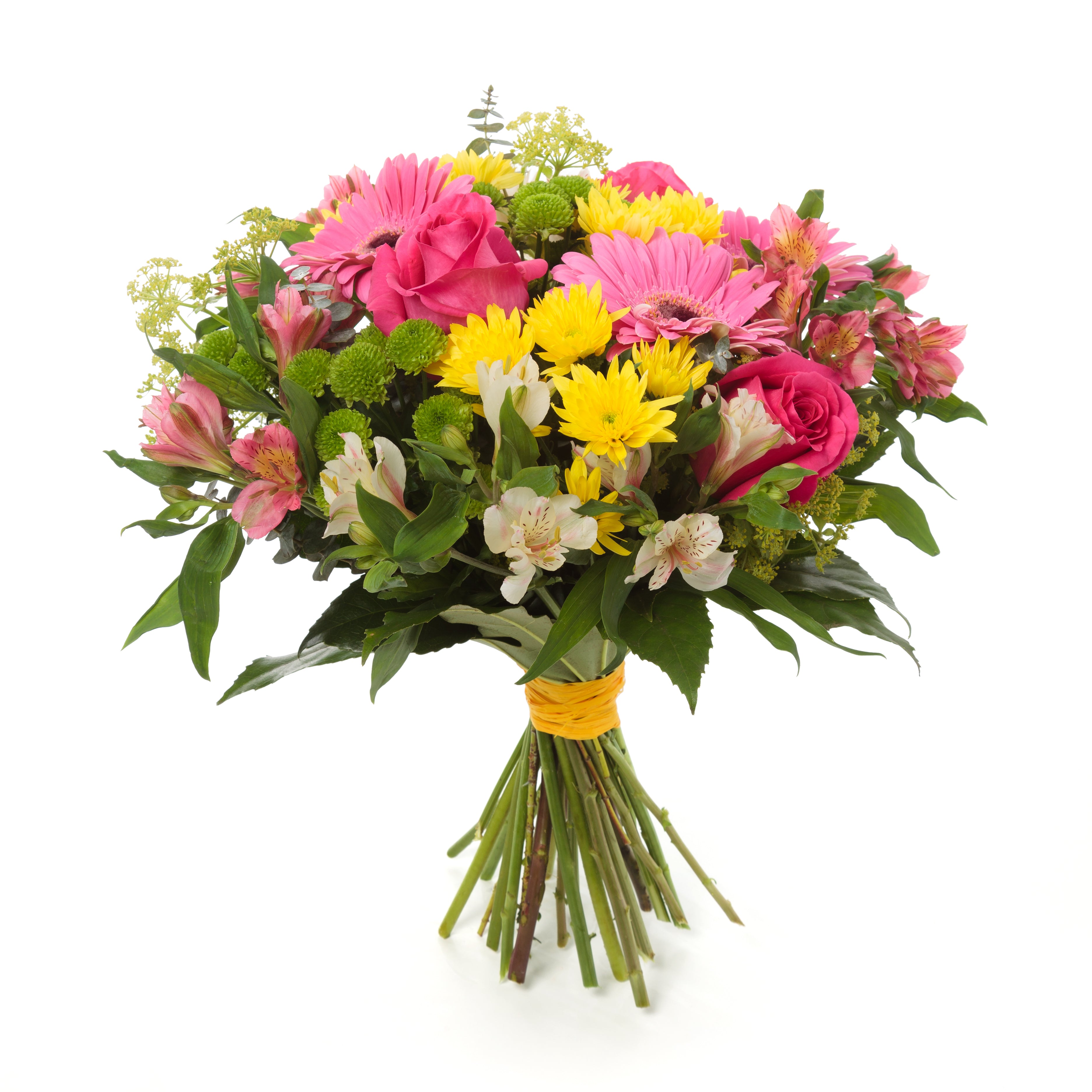 Florist Choice 9 - Floramor 